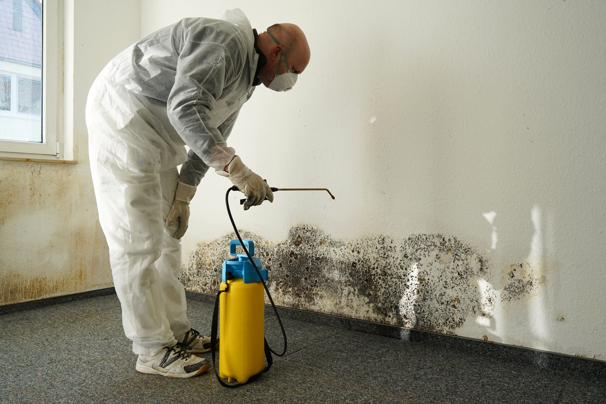 How Moisture Fuels Mold (And How to Spot It Early)