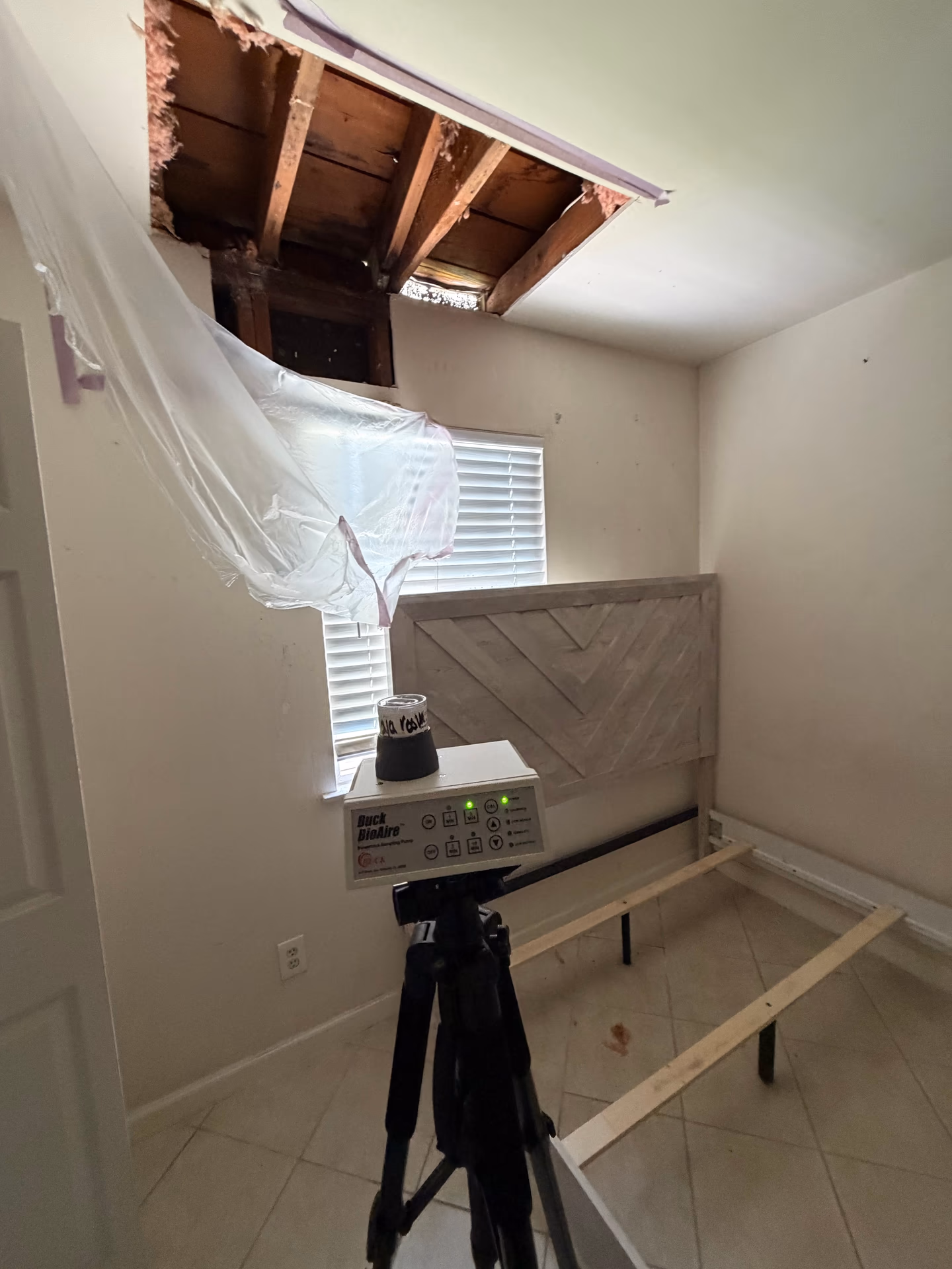 Indoor mold and air quality testing