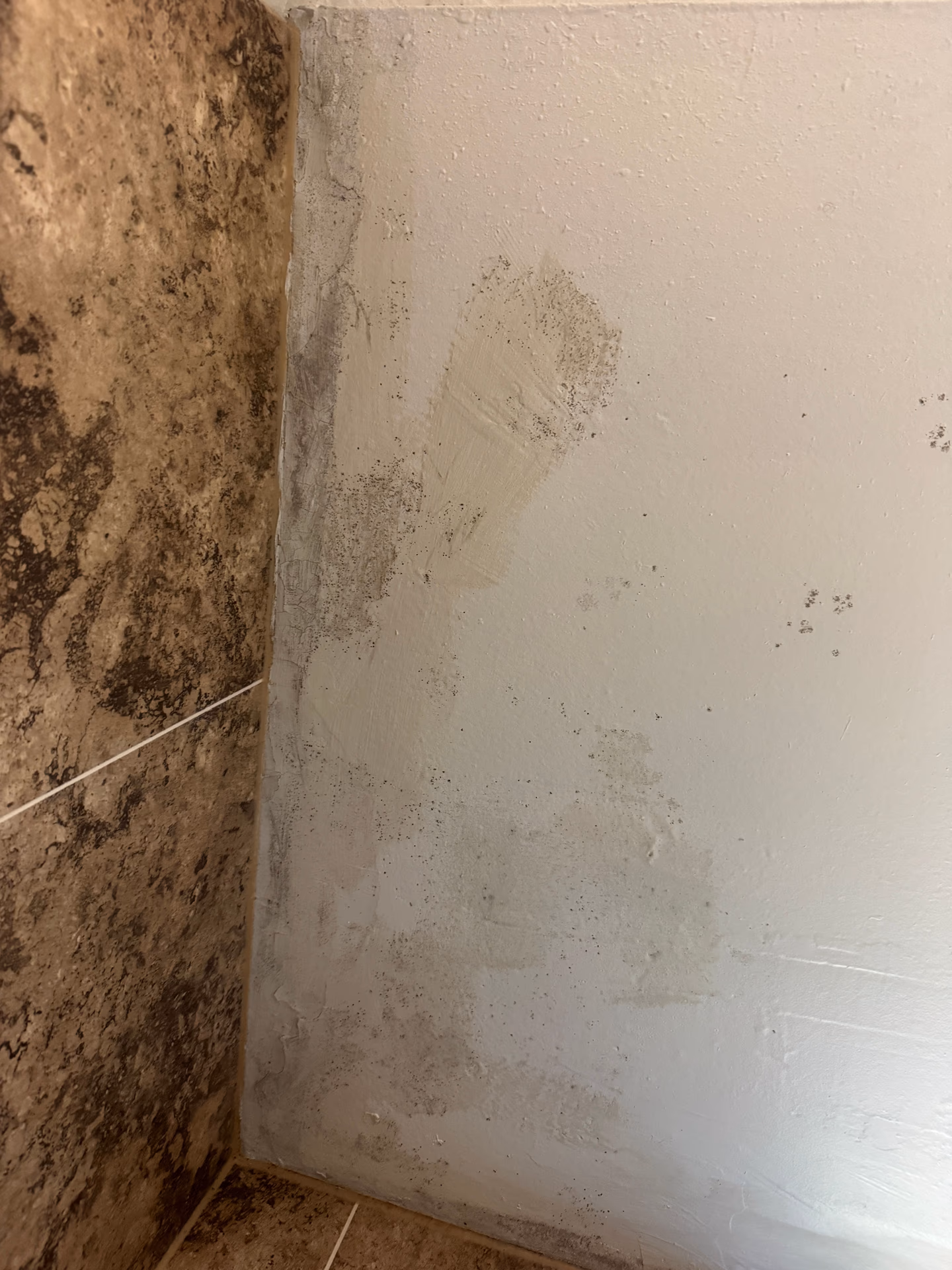 Visible mold damage