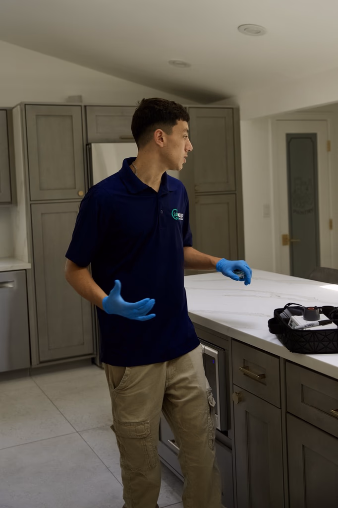 Mold inspector at work